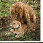 헐  <b>홍콩</b>??