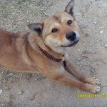 예비 시엄마는 스님~☆ 사진(有)편