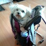 ♥♥사진有. <b>기여</b>운48살우리엄마ㅋ
