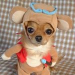 11학번 들어가는 신입생이라면 안보면 손해