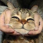 오늘은<b>이만</b>ㅜ