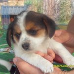 예비 시엄마는 <b>스님</b>~☆10