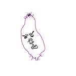 꼬구<b>마님</b> 눈웃음 인증