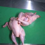 마지막 <b>투척</b> 수고햇다고 리플 안달면 일캐댐