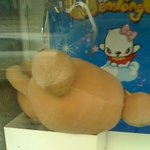 인형뽑기앞에 지나가던 <b>시민</b>1 입니다...