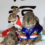 <b>새해</b> 복 많이 받으세요 ^^