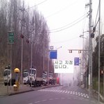 도와주세요!사람이죽어가고있습니다ㅠ운전하시는분들꼭봐주세요!