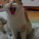 내일만가면 하루쉰다!<b>오예</b>