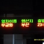 스물 넷,  무박 2일 여자 혼자 부산 여행^^