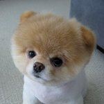 제 똥차 <b>접촉</b>사건 ㅋㅋ