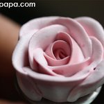 발렌타인<b>케익</b>장식~장미꽃(장미 짜기),잎사귀를 만들어 봅시다~(동영상첨부)