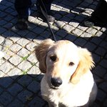 사진有)14살차이 돌싱아저씨 꼬시기..! 5탄