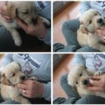 철없는 남편, <b>공주병</b> 아내 그리고 아들 #3