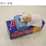 역시 침대는 <b>에이스</b>인듯....