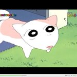 하다못해 <b>개도</b> 여자친구가 있는데