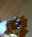 사진有) 담배가 폭발했어요