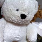 3번쨰 동생 소개요..사진 有