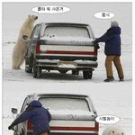 <b>병맛</b> 북극곰 ㅋㅋㅋㅋㅋㅋㅋㅋㅋㅋㅋㅋㅋ