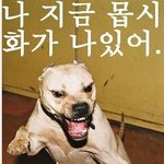 (남자인증有) 남자인게 죄스럽다 정말