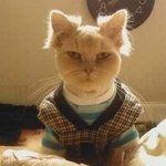 이제야 출<b>첵</b> 주간반