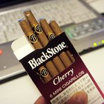 카카오향 vs <b>체리</b>향