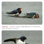 <b>퇴근</b>하기<b>전</b>에~
