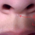 실화,혐오(?)주읰]  <b>새</b>친구가 생겻어요 <b>사진</b>有