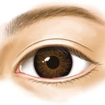 [약속지켰습니다] 눈<b>종류별</b> 아이라인 그리는법!!