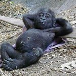 <b>사칭</b>아 좀 잼있는걸로<b>사칭</b>좀해..
