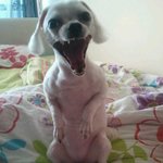 ★☆<b>여친네</b> 무서운 것