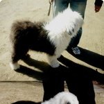 14살차이 돌싱아저씨 꼬시기..! 9탄