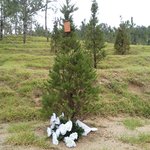 (후기) 14살, 중1 친구를 죽인 <b>주범</b>에게 6개월 형이라 ?    ...