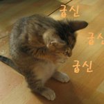 암쏘 쏘뤼벗 알러뷰 퍼킹