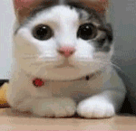 나 병원응급실 <b>원무</b>실습나갔을때도