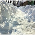 ★강릉<b>폭설</b> 실제로보니 상상초월이네요..(사진有)