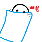 아나 <b>슈레</b> ㅡㅡ