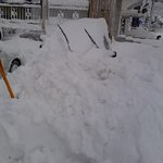 폭설...이 <b>참담</b>함이란...(사진참고)