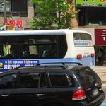 버려진 길 고양이에 대해서
