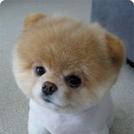 [배움의톡톡]남자를 완전 설레게 하는 여자 행동 ①