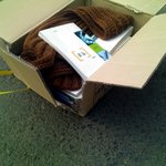 ■종말)종업식날의 <b>별미</b>?  새책 나르는방법♥