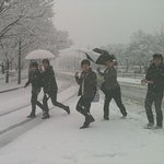 사진 有+추가) 2미터 짜리 눈사람 우리도 해냇다~!!!!!!!...