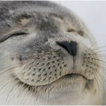 오늘뉴스.