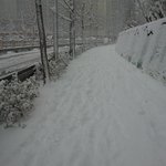 창원 <b>폭설</b> 상태!!
