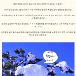 <b>저렴</b>하게 즐기는 겨울 에버랜드 데이트~ !