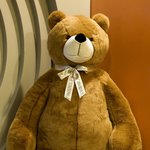 화이트 데이 <b>남산</b> 테디베어 뮤지엄 데이트 코스