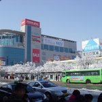 <b>포항</b>에 살면서 이런 많은눈 처음 봅니다. 많이들 구경하세요 ㅋㅋㅋ