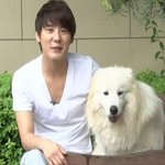 아이돌이 키우는 애완<b>동물</b>