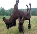 .누가 <b>제말</b>좀 들어주세요 ㅠㅠ심각해요ㅠㅠㅠ 도와주세요 ㅠㅠㅠㅠㅠ