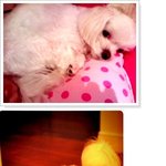 우리 <b>은비</b> 찾아주세요