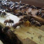 [사진有] 내가 해본 알<b>바들</b>ㅋㅋㅋㅋㅋㅋㅋ